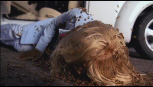 No amount of Proactiv is getting rid of that.