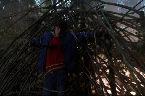 "After being in the Phantom Zone, this isn't so bad."