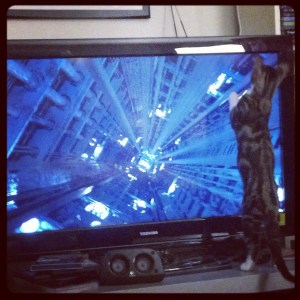 he's looking for Nick Fury