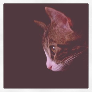 intensely watching The Avengers