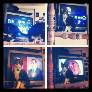 Enjoying Agetns of S.H.I.E.L.D.