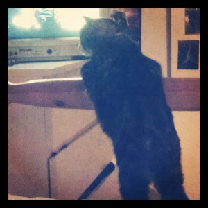 Sometimes this is how he watches TV