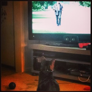 They got really into Neil DeGrasse Tyson this summer