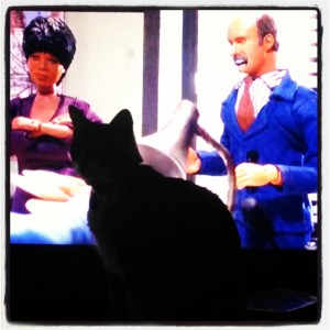 Watching Robot Chicken