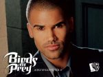 shemar-moore-birds-of-prey-still-02